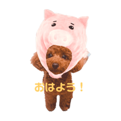 はむちゃんのすたんぷ！