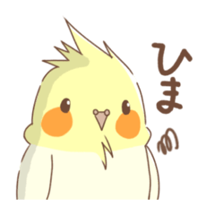 オカメインコハッピーちゃんと仲間たち