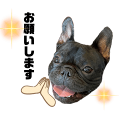 フレブルのジェイク　挨拶編