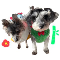 うめちゃんたけくん