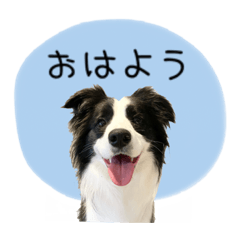 ジェッティ&ヘイリー