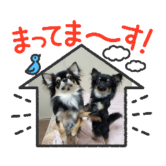 なにるんコンビ