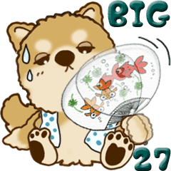 【Big】ちゃちゃ丸 27『梅雨～初夏』