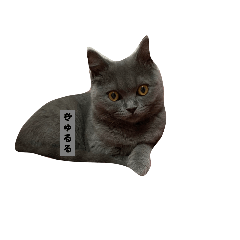 猫ぬこスタンプ