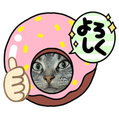 アメショのビリーさん