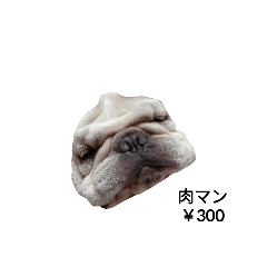 だいふくのすたんぷためし