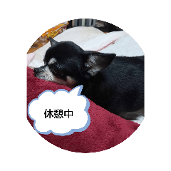 My    favorite    stamp