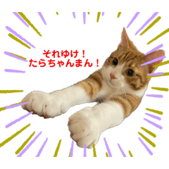 それゆけ たらちゃん！Vol.1