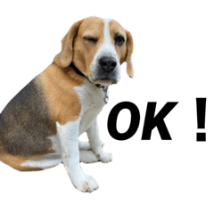 きょうのこてつ2