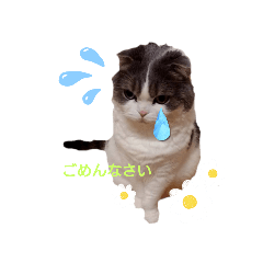 motitaro taptap stamp