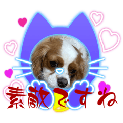 久々にマロンのスタンプが出たよ。