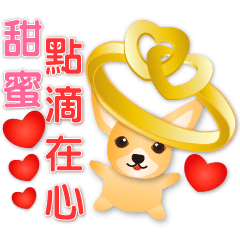 かわいいチワワ-私の心には甘さがあります