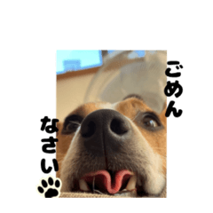 敬語を使うジャック