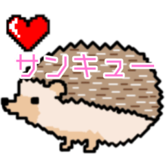 ありがとうハリネズミ