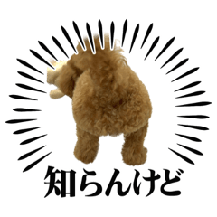 トイプーあずスタンプ