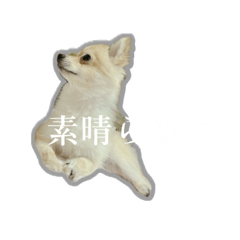 毎日お疲れ様。だるいよね。