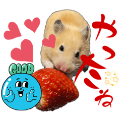 からしちゃん34