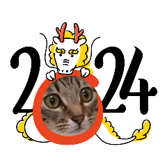 キジトラ　まろんのスタンプ