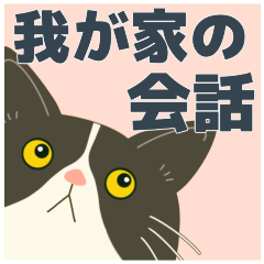 ハチワレぶーにゃん【我が家の会話編】