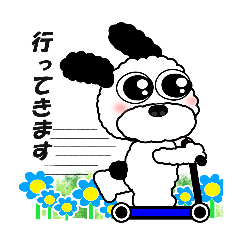 トイプードルcocoパンダ