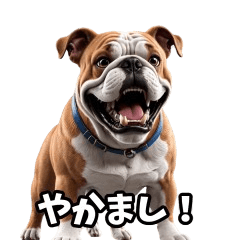 なにわのブルドッグ