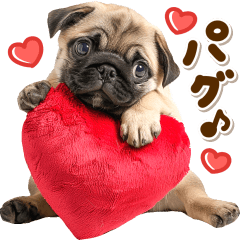 だいすき♡パグちゃん