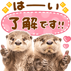 かわいい♡かわうそ