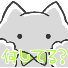 黄緑推しねこ(報告)