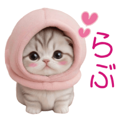 スコティッシュ猫 可愛い＆優しいスタンプ