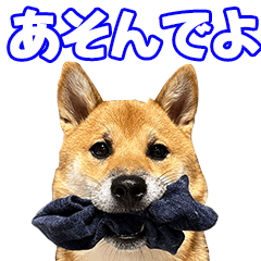 権之助 パート1