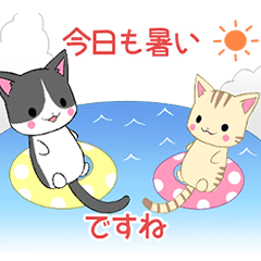 ちびにゃんこ11【夏】