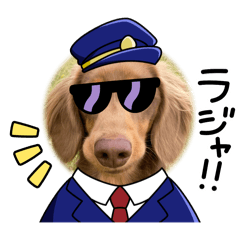 今日も元気なチャオスタンプ