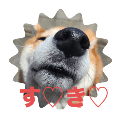 みんなの⭐︎かえでちゃん⭐︎