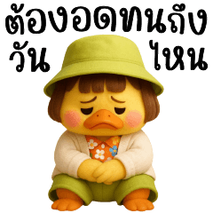 Yellow duck, fat cheeked duck 9