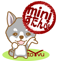 わんこびより(柴犬)②