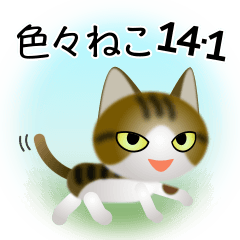 色々な猫14-1 短毛-立ち耳-キジトラ白