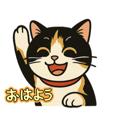 三毛猫のcocoちゃん最強