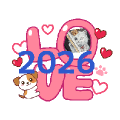 MORIO_20251221010653