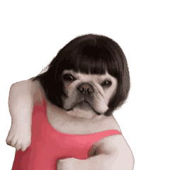 踊るブヒのぶーちゃん・おかっぱレオタード
