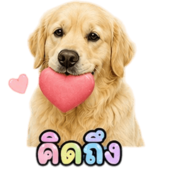 Funny Golden Retriever V.11