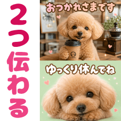 とびだす★1枚で2つ伝わる！トイプードル