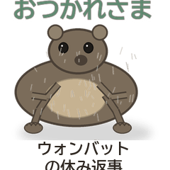 ウォンバットの休み返事