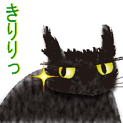 黒猫まこち