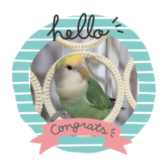 愉快な仲間たち(*˘ ³˘)♥