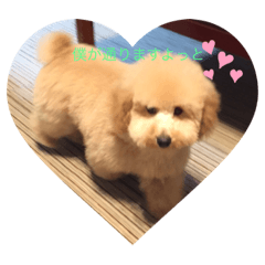 小田家の次男 ベントゥーラ1