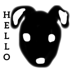 black dog黒犬がお伝えするメッセージ。