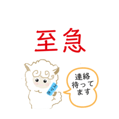 羊のミィさんの日常