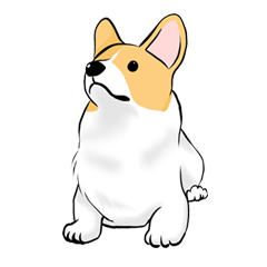 I want to raise a Welsh Corgi