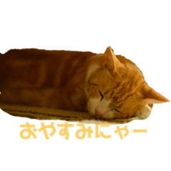 みちえさんの猫ちゃんたち