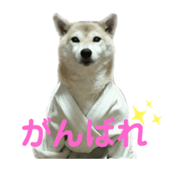 美魔女柴さくら